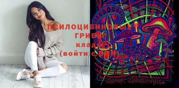 эйфоретик Алексин